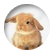 Courtneyclass4