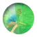 DAJA