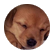 DG3