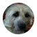 DaisyMae