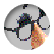 Darlinjackie