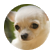 DashaVelasquez