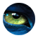 David_303a
