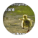 Dawndaring0406