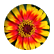EB123