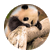 ECameronEPMS