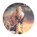 ELI47
