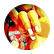 Erikiwi