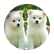 Eve_W