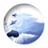 Falconheart