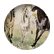 FallHorse