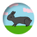 Fluffy_bunny