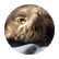 FogCat