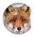 Foxish