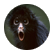 FunkyMonkey841