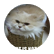 GamerX649