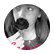 GeorgiaMcG
