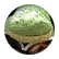 GreenFrogTales