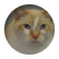 Hannyf