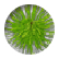 Harrisrl
