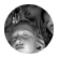 Hnihill12