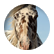 HorseWhisperer