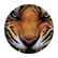 Hypertiger