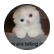 Iamawsome123