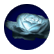 IceRose