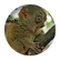 Ingridogm2