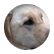 Iz514