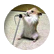 Izzyclass4