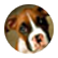 Jack3044