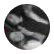 Jade10