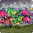JadeSC