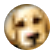 JasmineBu