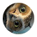 JasonVD