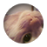 JessLoveyCupcake11