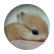 Juliaspsd