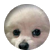 KITTYPENGUIN