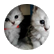 KatFr