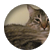Kat_lover001