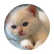 KatieMO4000