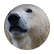 Katiespencer