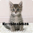 KittyDreams26