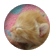 Kittyqueen17