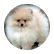 Kukuj
