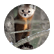 Martenkid
