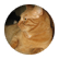 Matus