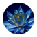 MaxAqua